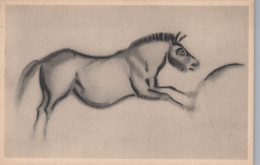 Delcampe - France Les Eyzies Grotte Font De Gaume Cheval Préhistorique Unposted #SCC958 - Les Eyzies