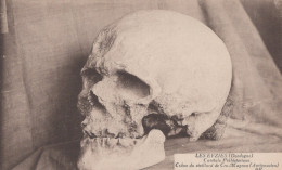 Delcampe - France Les Eyzies Crâne De Cro Magnon Préhistorique Unposted #SCC962 - Les Eyzies