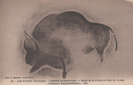 Delcampe - France Les Eyzies Peinture Préhistorique Bison Grotte Font De Unposted #SCC961 - Les Eyzies