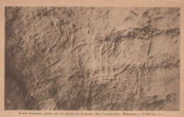 Delcampe - France Les Eyzies Grotte Combarelles Art Préhistorique Renne Postée #SCC960 - Les Eyzies