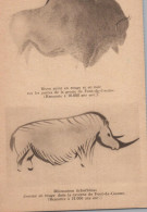 Delcampe - France Les Eyzies Peintures Rupestres Font De Gaume #SCC816 - Rinoceronte