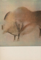 Delcampe - France Les Eyzies Grotte Font De Gaume Bison Préhistorique Unposted #SCC678 - Les Eyzies