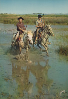 Delcampe - France Camargue Gardians À Cheval Marais Unposted #SCC653 - Caballos