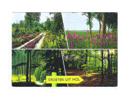 Delcampe - MOL  -  GROETEN  UIT  MOL    (11.500) - Mol