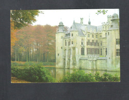 Delcampe - VORSELAAR - HET  KASTEEL  (11.543) - Vorselaar