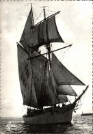 Delcampe - CPM Bateau Guerre L Une Des 2 Goelettes De L Ecole Bavale - Velieri