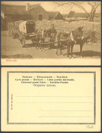 Delcampe - China Old Postcard Chinese Cab Mules Mule Drawn Cart & Native Driver Ethnic Life - China