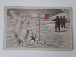 Delcampe - NORTHPOLE BANQUISE CHAMPAGNE EXPLORATEUR DRAPEAU US 1912 DE OUCHY SUISSE À  De CROŸ  GROSSE POMME MONS - Osos