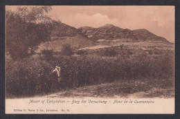 Delcampe - Vintage Postcard Israel Holy Land Jericho Mount Of Temptation Vester Co 1910 - Israel