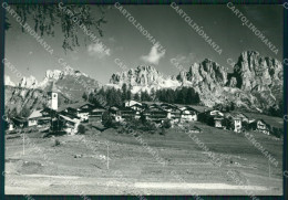 Delcampe - Belluno Falcade Foto FG Cartolina ZK4038 - Belluno