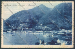 Delcampe - Varese Laveno Battello Saluti Da Cartolina LQ8195 - Varese