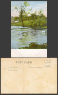 Delcampe - Swan Swans Bird Bird Animals Lake Or River Scene Old Colour Postcard - Otros & Sin Clasificación
