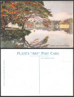 Delcampe - Ceylon Old Postcard Lakeside Scene Lake Kandy Blossoms Blooming Tree Plate's ART - Sri Lanka (Ceylon)