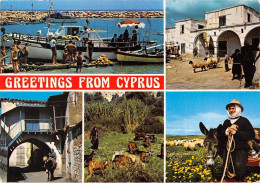 Delcampe - B96542 Greetings From Cyprus Ship Bateaux Donkey Sheep - Cyprus