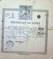 Delcampe - ROMANIA 1911 OLD BAPTISM CERTIFICATE MEHEDINTI ORTHODOX CHURCH GHELMESESTI BOTEZ DEL 6 - Documents Historiques