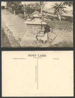 Delcampe - South Africa Port Elizabeth The Snake Park Snakes Animals Palm Tree Old Postcard - Otros & Sin Clasificación