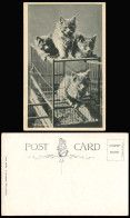 Delcampe - 4 Cats Kittens Birdcage Bird Cage Marauders Cat Kitten Wildt & Kray Old Postcard - Gatos