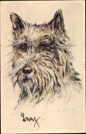 Delcampe - Artiste CPA Hundeportrait, Terrier - Otros & Sin Clasificación