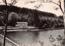 Delcampe - Carte Postale [88]  Darney Les Rochottes  Le Chalet  L'Etang  Très Beau Plan - Darney