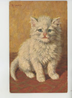 Delcampe - CHATS - CAT - Jolie Carte Fantaisie Chaton Blanc - Illustrateur M. STOCKS - Edit. H.K. & Co M. Serie 554 - Gatos