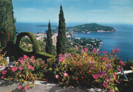 Delcampe - France Saint Jean Cap Ferrat Côte D Azur Vue Panoramique Méditerranéenne #SCD480 - Saint-Jean-Cap-Ferrat