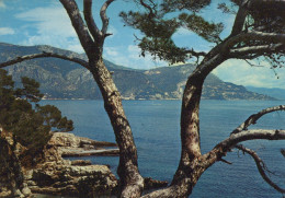 Delcampe - France St Jean Cap Ferrat Paysage Côtier #SCD475 - Saint-Jean-Cap-Ferrat