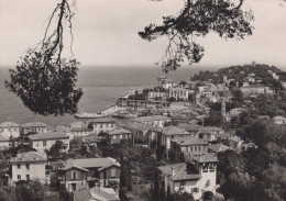 Delcampe - France Saint Jean Cap Ferrat Vue Générale Côtière Real Photo Unposted #SCD471 - Saint-Jean-Cap-Ferrat