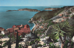 Delcampe - France Eze Vue Panoramique Sur Cap Ferrat Baie D Real Photo #SCD143 - Eze