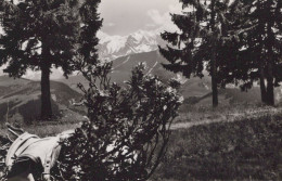 Delcampe - France Megeve Mont Blanc Vue De Rochebrune Paysage Unposted #SCE007 - Megève