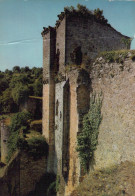 Delcampe - France Castelnaud La Chapelle Dordogne Château De Castelnaud Unposted #SCD973 - Autres & Non Classés