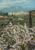 Delcampe - France Saint Paul A M Village Médiéval Perché Paysage Fleuri #SCD697 - Saint Paul