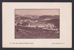 Delcampe - Vintage Postcard Israel Holy Land Zichron Jacob Wine Cellars Carmel Mizrahi - Israel
