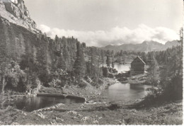 Delcampe - A2000---  PC------KOČA  PRI  TRIGLAVSKIH  JEZERIH - Slowenien