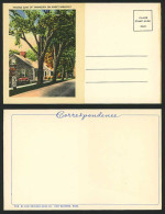 Delcampe - USA Old UB Postcard ELMS Of YARMOUTH On King's Highway - Non Classés