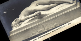 Delcampe - CPA Musee Du Luxembourg Antonin Carles - Museen