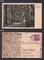 Delcampe - Vintage Postcard 1938 Neumunster Germany To Haifa Palestine Currency ControlMark - Pfingsten