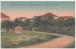 Delcampe - CPA  – LIBAN – PROMENADES DE BICFAYA – HOTEL CENTRAL - ZHAR EL CHOUEIR - Libanon