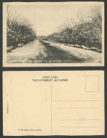 Delcampe - Pakistan Old Postcard Wyllie Road In Winter Quetta, Snowy Street Scene, India - Non Classés