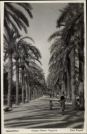 Delcampe - CPA Palma De Mallorca Balearische Inseln, Paseo Sagrera - Sonstige & Ohne Zuordnung