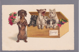 Delcampe - CPA Teckel Position Humaine Dackel Dachshund écrite - Perros