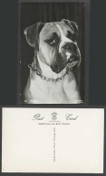 Delcampe - Bulldog Bull Dog, Boxer, Pet Animal Old Real Photo Postcard Photo By Hugh Morton - Perros