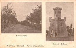 Delcampe - TANCOS - Parque De Engenharia, Uma Avenida, Pombal E Relógio  (2 Scans) - Santarem