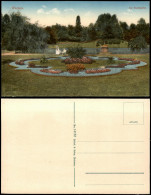 Delcampe - Ansichtskarte Wurzen Stadtpark Frau Mit Kinderwagen 1912 - Wurzen