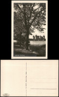 Delcampe - Ansichtskarte Moritzburg Kgl. Jagdschloss Bäume Am Ufer 1928 - Moritzburg