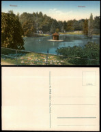 Delcampe - Ansichtskarte Wurzen Partie Im Park Weiher Teich Stadtpark 1917 - Wurzen