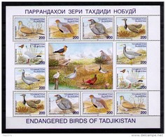 Delcampe - TADJIKISTAN 1996 - FAUNA PAJAROS . OISEAUX . BIRDS - VOGEL - YVERT Nº 75-80 - Tadschikistan