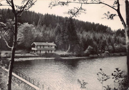 Delcampe - Carte Postale [88] Darney Les Rochottes Le Chalet L'étang   Très Beau Plan - Darney
