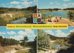 Delcampe - Nederland Burgh Haamstede Duinen Meren Boswachterij Westenschouwen #SCF077 - Renesse