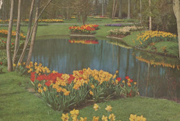 Delcampe - Nederland Lisse Keukenhof Bloemenpark Met Vijver Gefrankeerd #SCF028 - Lisse