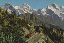 Delcampe - Schweiz Schynige Platte Bergbahn Alpenpanorama Zug Transport #SCF018 - Adelboden